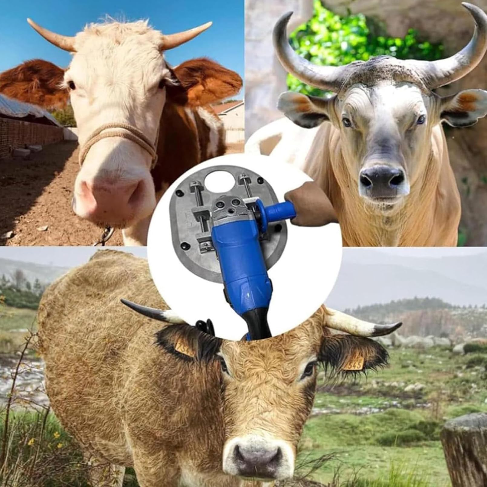 Écorneur électrique pour bovins et ovins, outil d'écornage 1900 W, écorneur électrique pour gros bovins, machine de découpe de cornes vache adulte, scie, pour équipement agricole et outil d'élevage