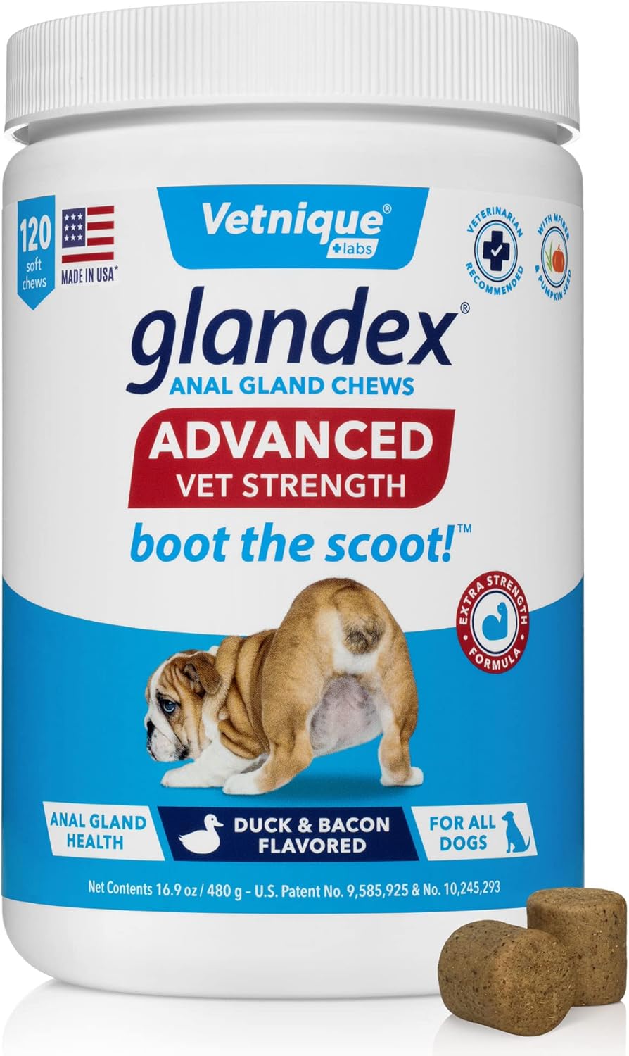 Glandex Fibre Supplements Dog Soft Chews with Pumpkin for Dogs