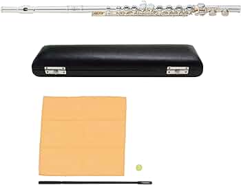 71SKCW9JVlL._AC_UF350,