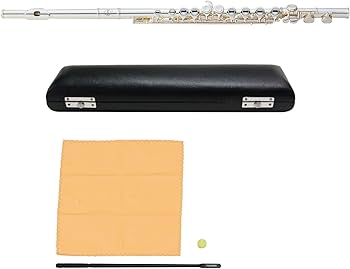 Amazon | MAXTONE フルート セミハードケース付属 TF-40S 銀メッキ