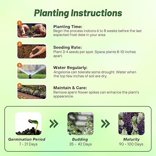 Miniatura 4 de Outsidepride Serena Waterfall Mix Angelonia Snapdragon Seeds para plantar, 15 piezas de semillas de flores perennes, aptas para polinizadores,