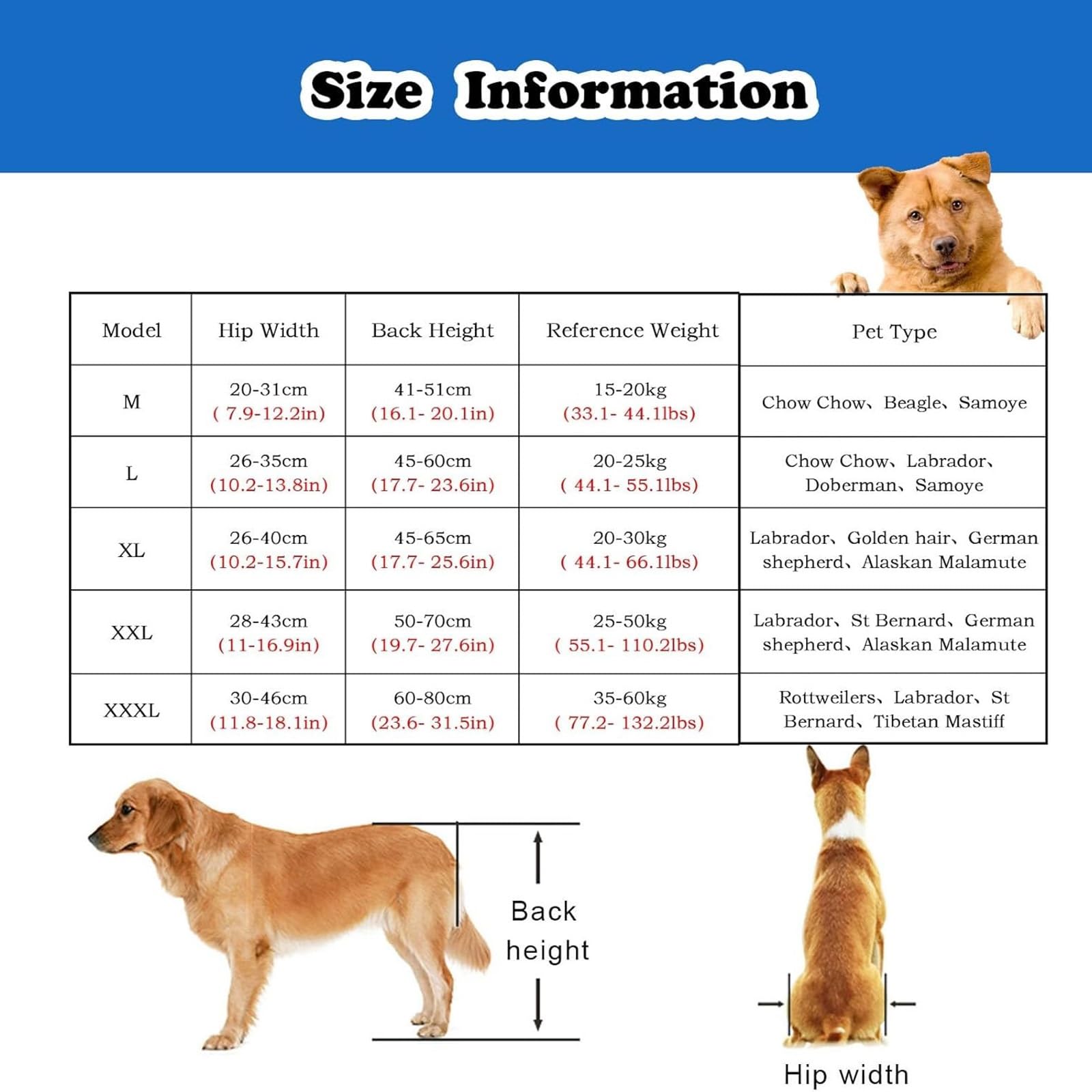 Amazon.co.jp: 犬用車椅子 M XL XXXL ペット用車椅子/犬用車椅子
