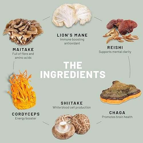 Miniatura 5 de Vegan Vitality Paquete de suplementos de refuerzo - Complejo de multivitaminas veganas, colágeno y súper hongos. Fórmula a base de plantas de alta