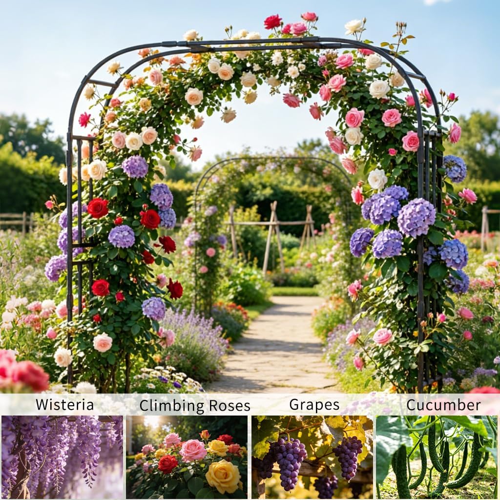 Heavy Duty Black Metal Garden Arch Trellis for Climbing Plants - Steel Arbor for Grape Vines, Roses, Easy Assembly Pergola for Patio & Backyard (16.1''L*79.1''W*87.0''H)