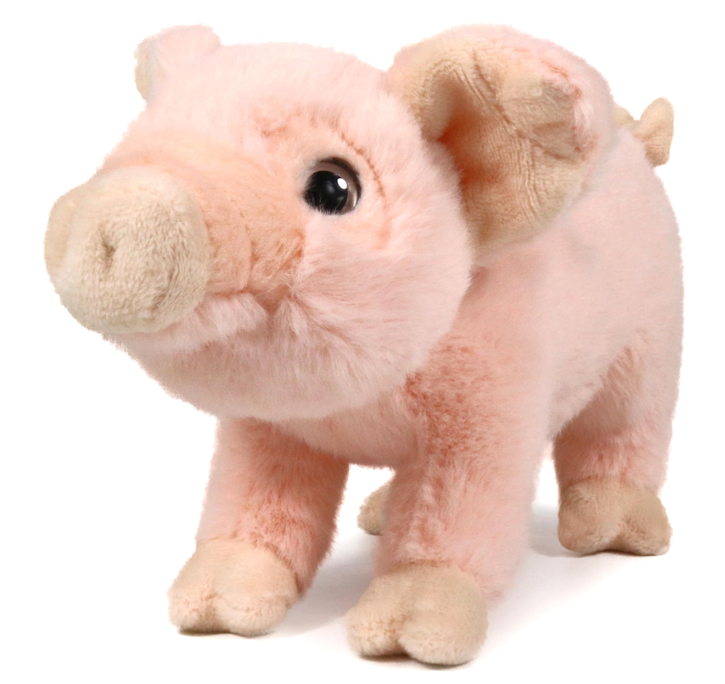 ぬいぐるみ  little pig Amazon.com: Ice King Bear Little Piggy Stuffed Animal Piglet Plush