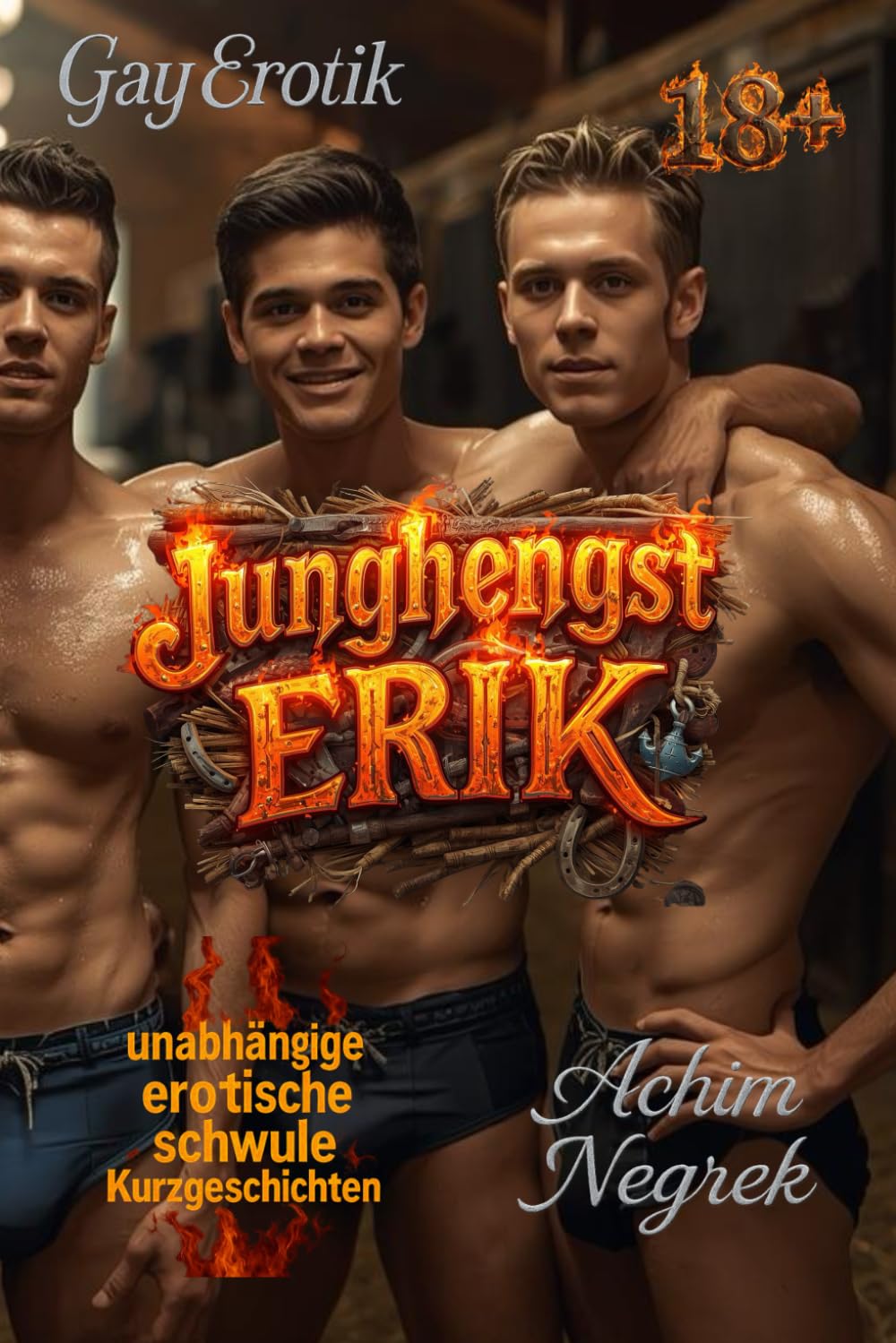 Junghengst Erik: erotische Kurzgeschichten (schwul 18+)