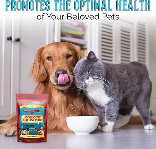 Vista 6 de BodyBoost Calostro para mascotas, polvo de calostro 100% bovino, suplemento de refuerzo inmunológico con inmunoglobulina y lactoferrina, súper