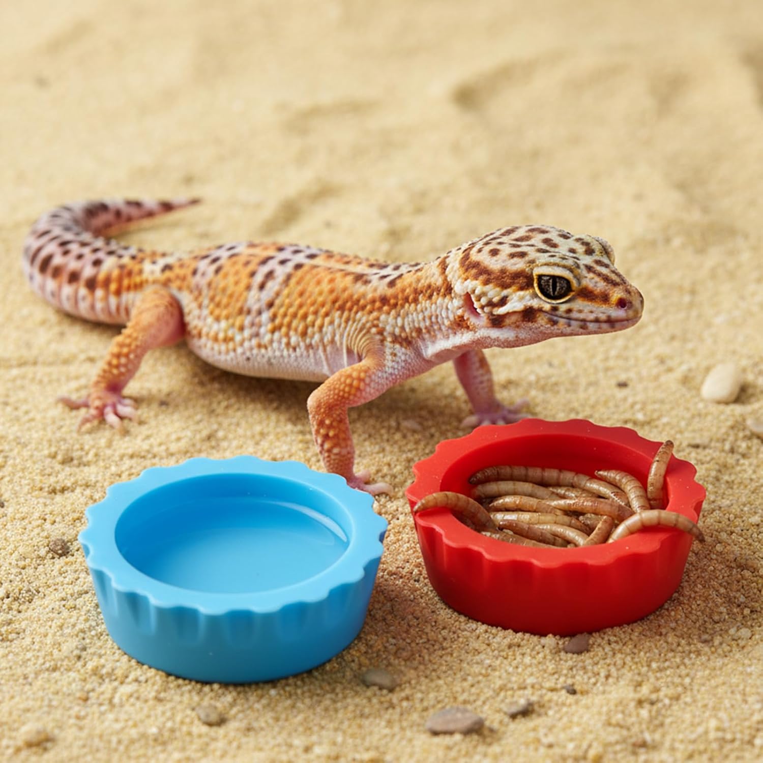 7 Pcs Reusable Small Reptile Feeding Dish, Crested Gecko Food and Water Dish and 2 Pcs Spoon, Silicone Reptile Food Bowl, Reptiles Food-Dish, Tank Accessories for Small Pets (8 Colors) image 3