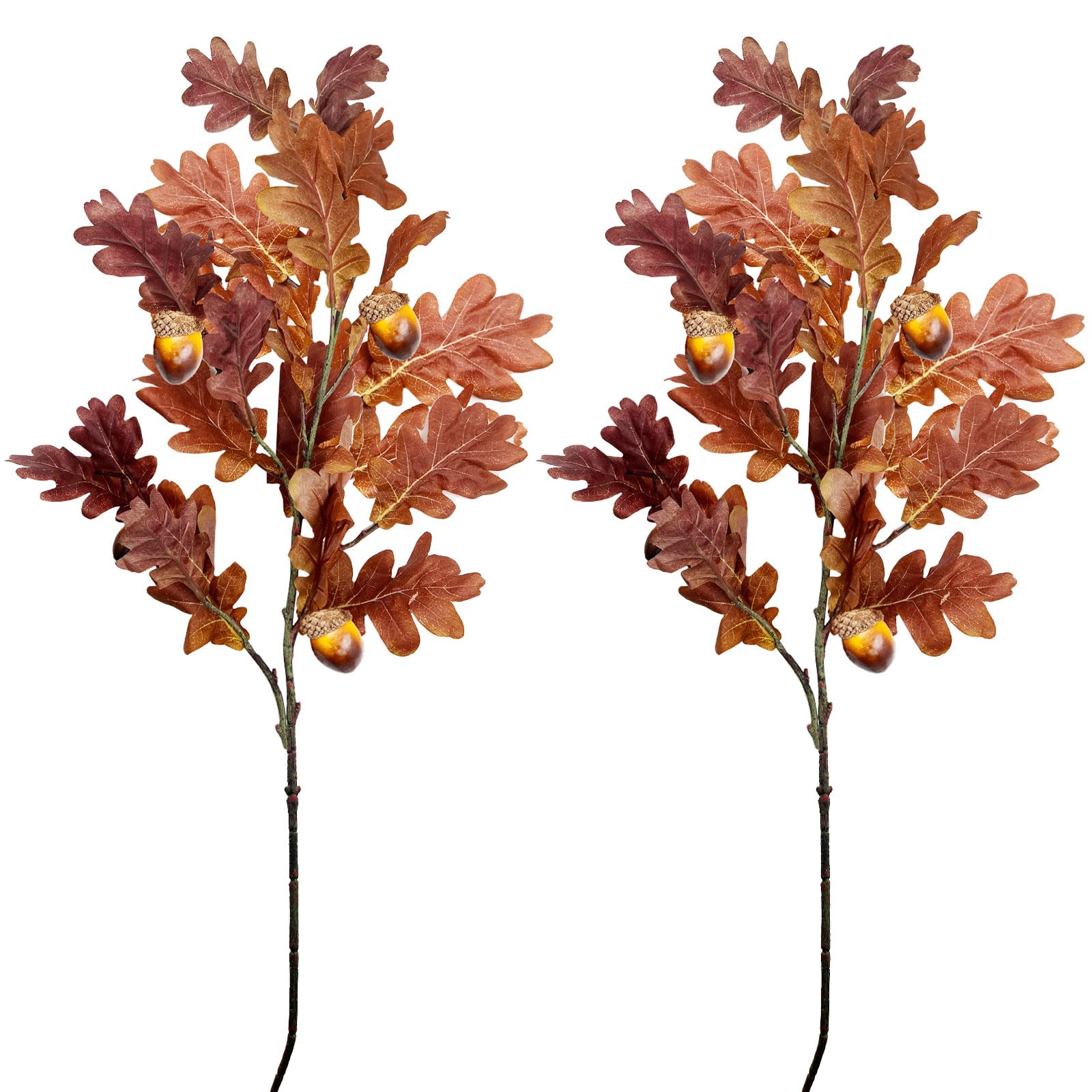 SNAIL GARDEN 2 Pcs 39.3in /100cm Faux Oak Fall Floral Stems with Acorns,Large Artificial Fall Stems for Vases Filler, Autumn Decor Oak Leaves Artificial Fall Flowers Wedding Porches Courtyards