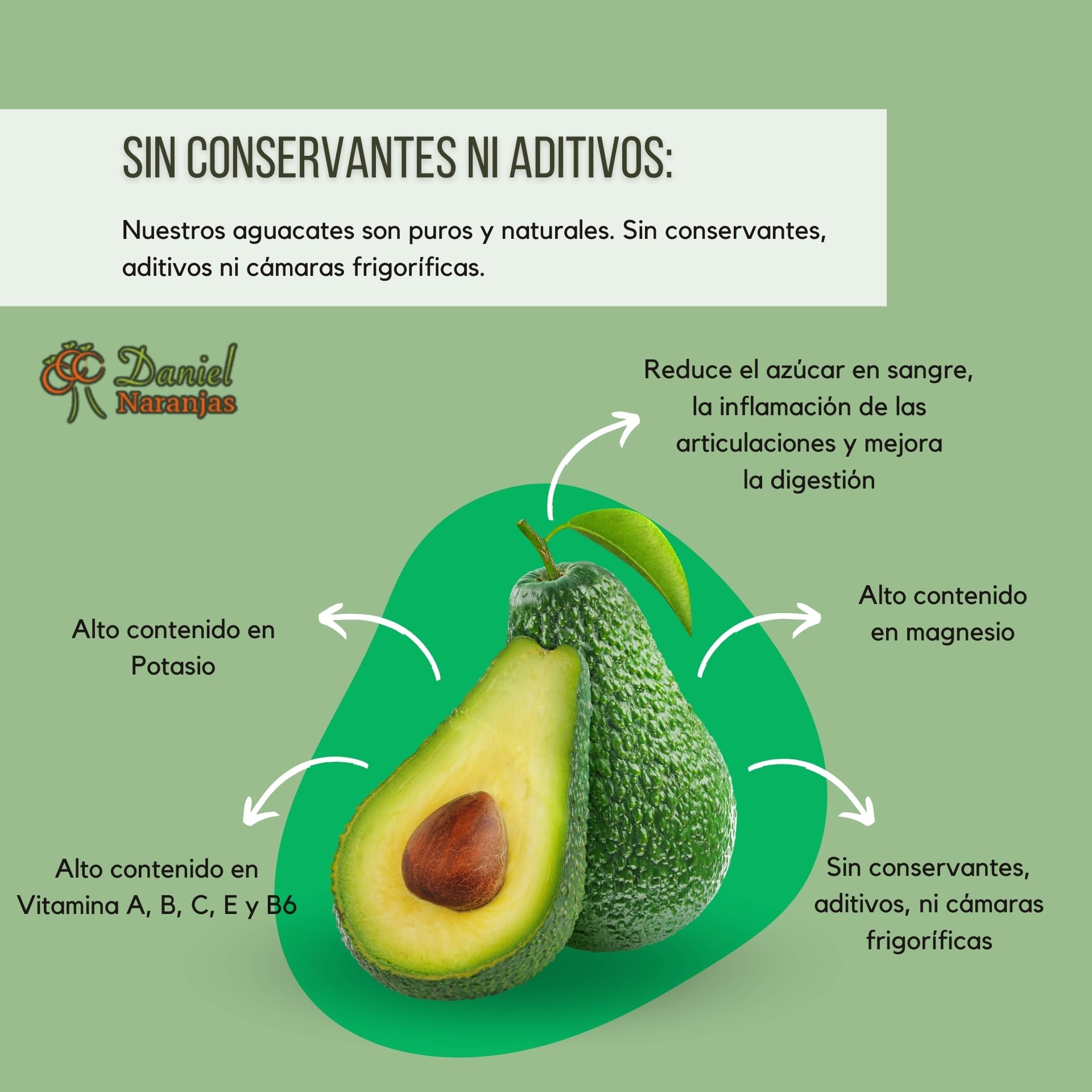 NARANJAS DANIEL | Aguacates frescos de Valencia (4 KG) | Del árbol a tu mesa | Sabor equilibrado, cremoso y fresco | Sin conservantes ni aditivos