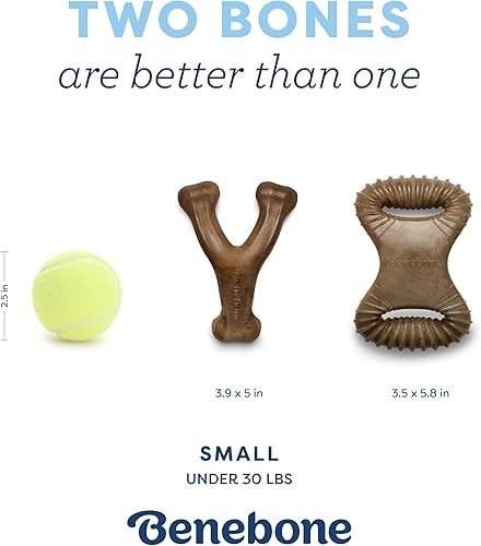 Vista 44 de Benebone Puppy Wishbone - Juguetes masticables para perros, más suaves para masticadores modestos, fabricados en Estados Unidos, mediano