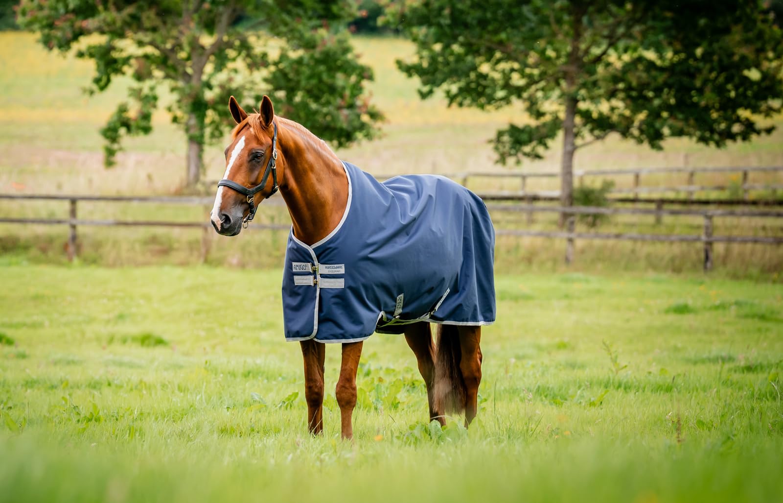 Amigo Ripstop 900D Turnout 100g, 145cm, Navy/Titanium Grey