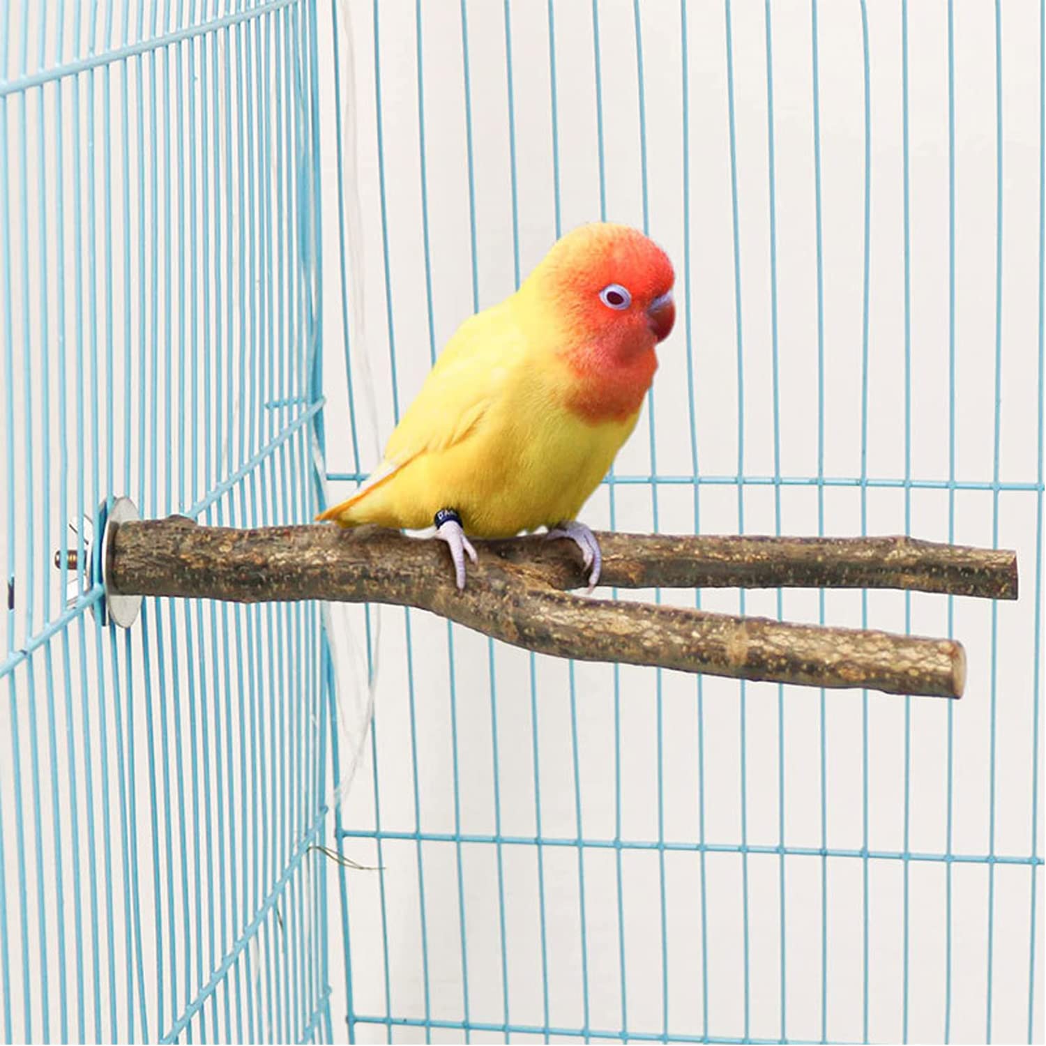6 Pz Posatoi per Uccelli, Posatoi in Legno Posatoio per Pappagalli per Posatoi Legno per Pappagalli, Posatoi per Uccelli Legno Naturale, per African Parrot Birds