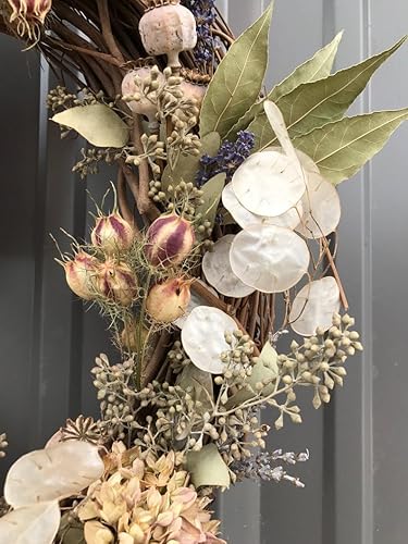 Miniatura 4 de TomorrowSeeds - Semillas de plantas de dinero - Paquete de más de 50 unidades - para 2024 sin OMG USA Lunaria Annual Honestidad Planta de dólar de