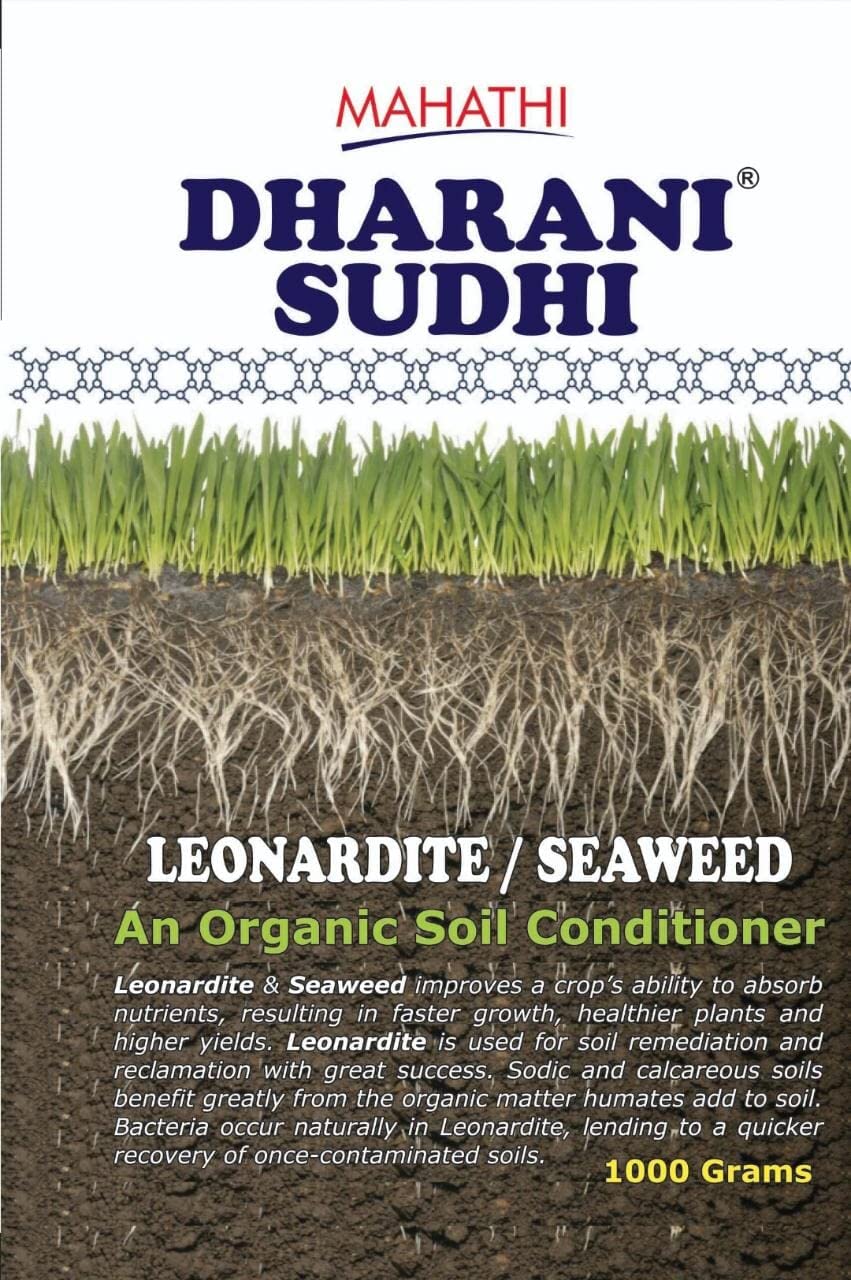 Mahathi Dharani Sudhi, Liquid (B0B61SW36Z) Amazon Price History, Amazon Price Tracker