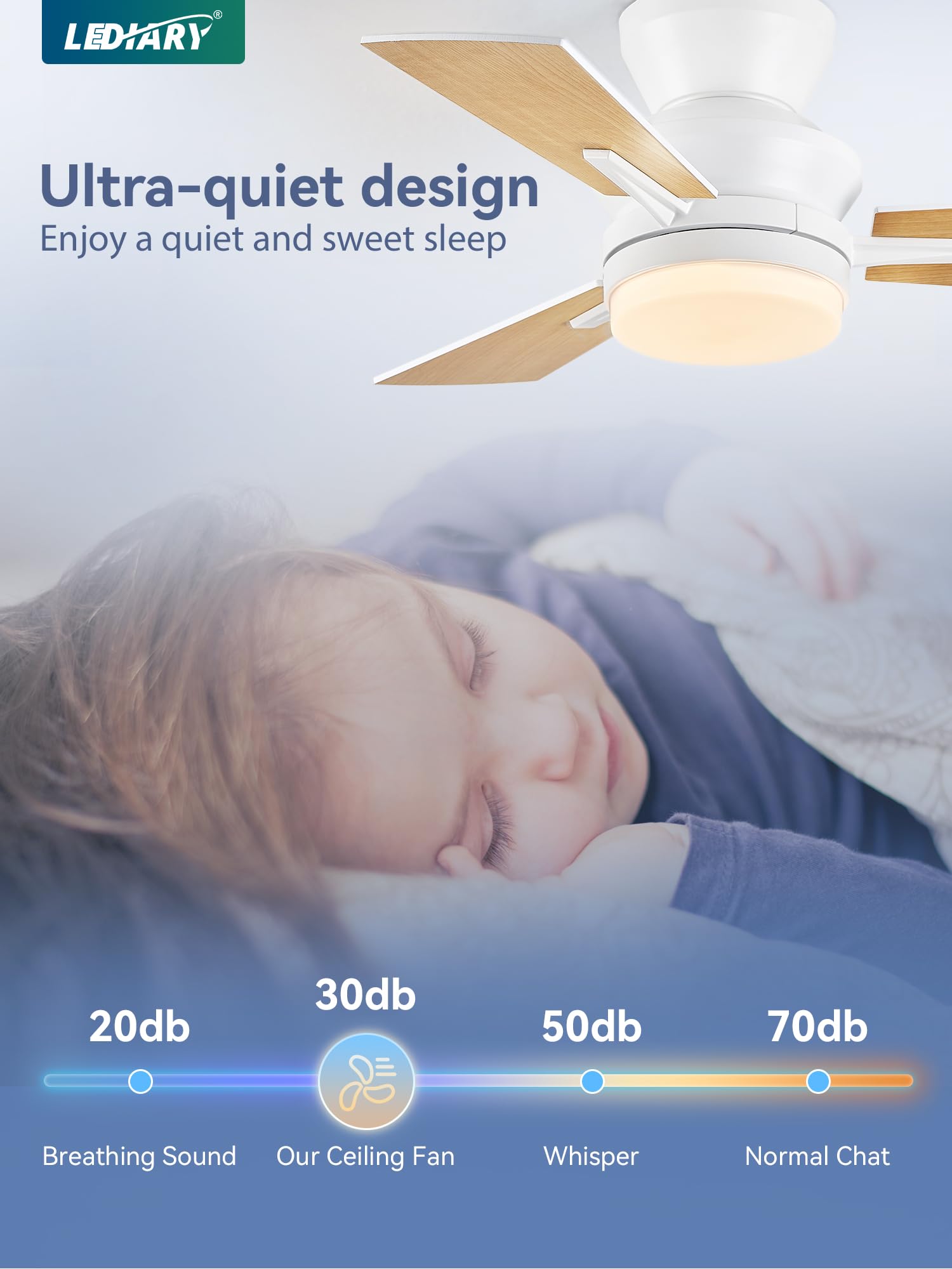 https://m.media-amazon.com/images/I/71SKlL8lEqL.jpg