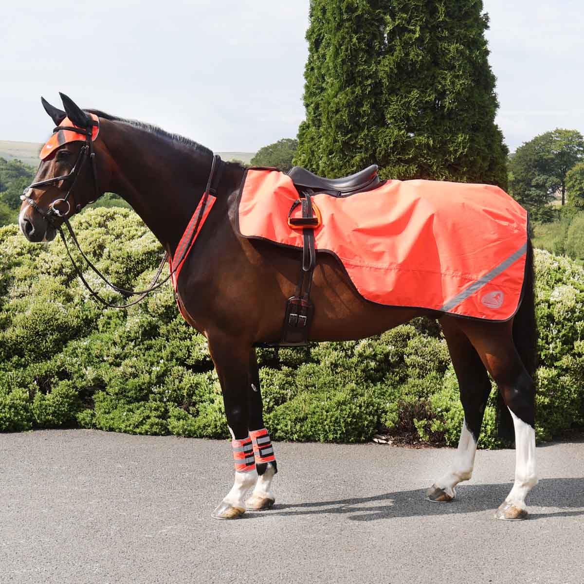 Masta Hi-Viz Waterproof Horse Exercise Sheet with Fleece Lining, Reflective Safety Strips for Visibility, 600D Oxford Weave, Fits Over Saddle - Orange - PONY