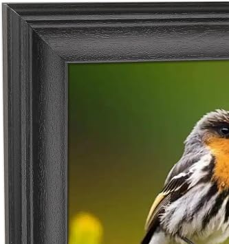 8x32 Picture Frame Solid Wood Black 8x32 Posters Frame 8x32 Inch Panoramic Frame 8x32 Inch Photo Frame, including Hanging Hardware Y23B832