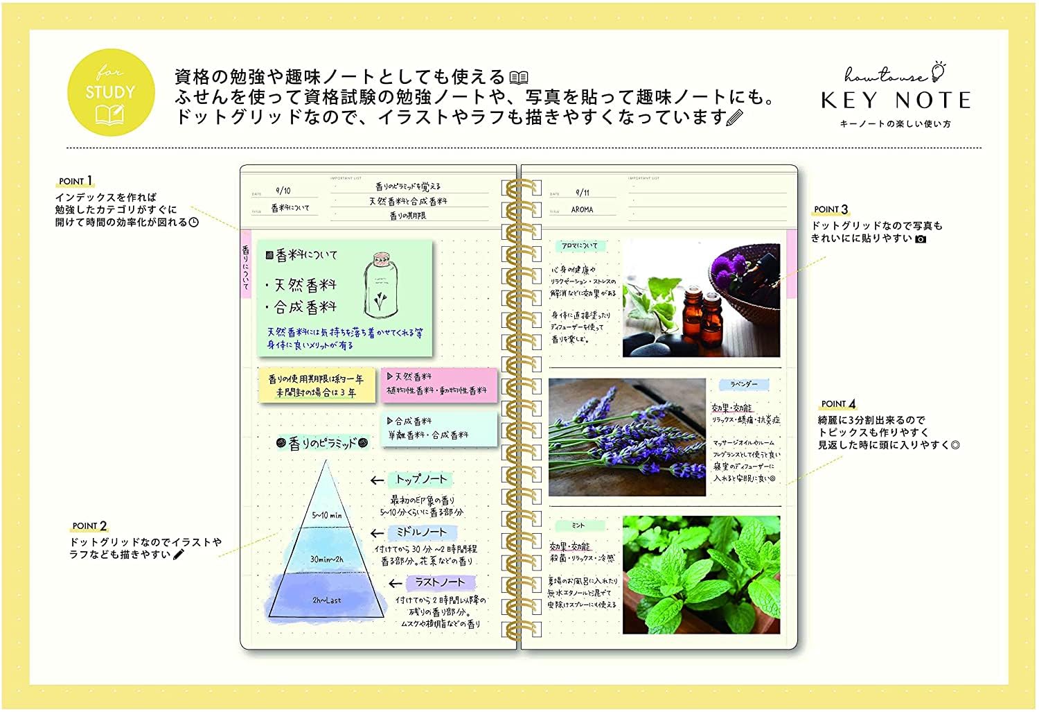 Amazon.com : ラボクリップ(LABCLIP) Lab Clip Notebook A5 Slim Meat