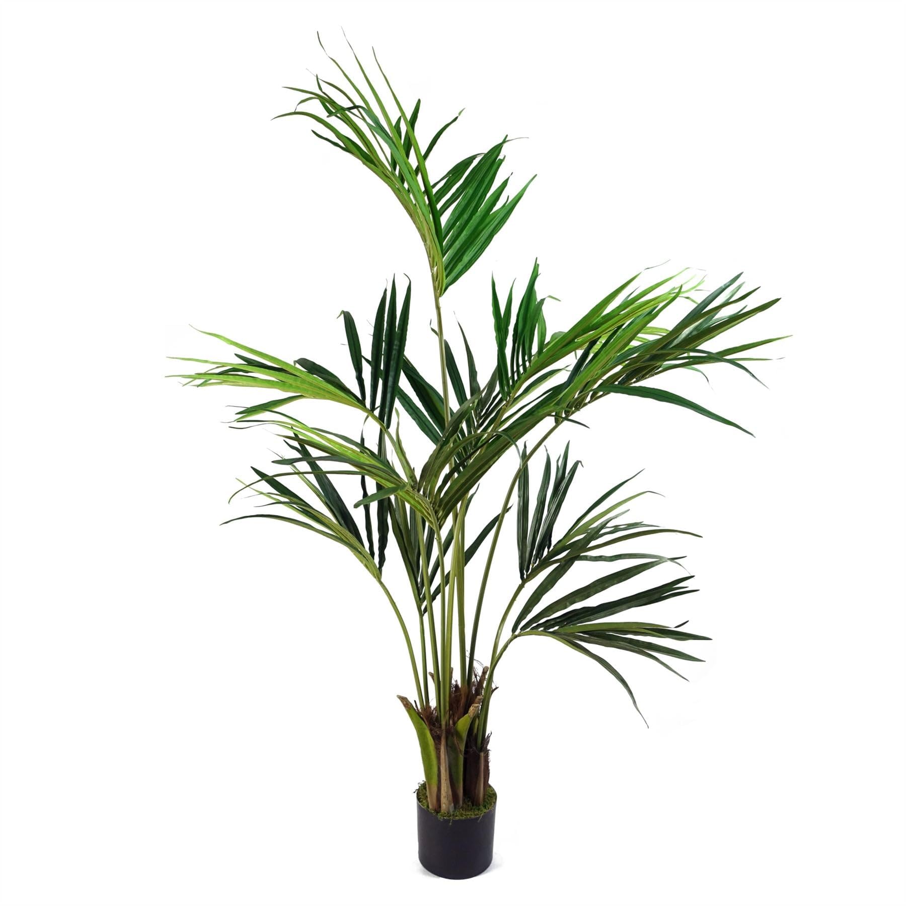 Botanik Kentia Palm Artificial Tree 5ft