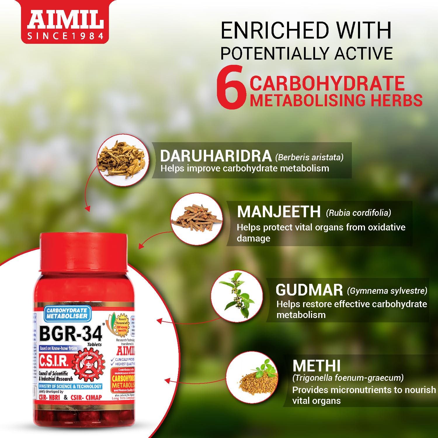 AIMIL BGR-34 Herbal Tablets for Blood Sugar Management | Natural Carbohydrate Metabolizer Developed by CSIR | Ayurvedic Supplement for Glucose Control with Gudmar & Vijaysar | 100 Tablets (Pack of 2) — Amazon image 2