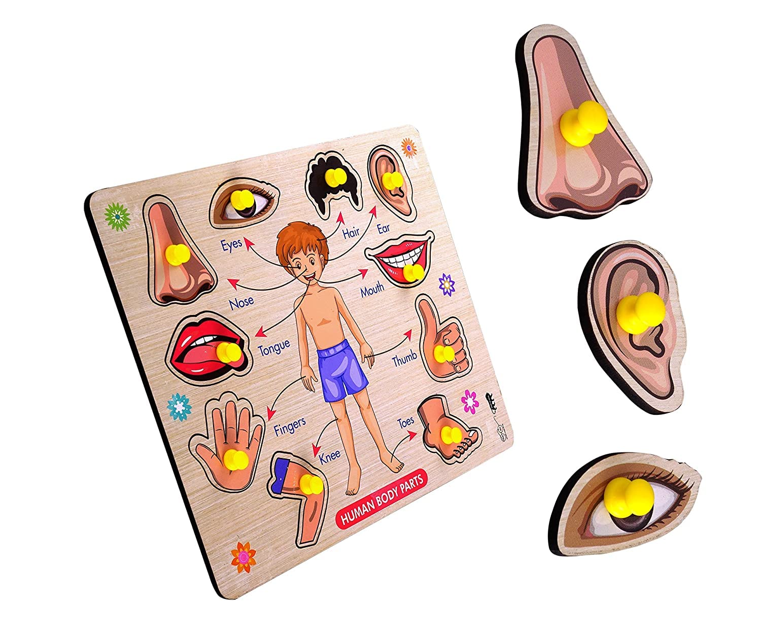 APPSTER Body Parts Puzzle Kids Wooden Toys for Kids 3+ Jigsaw Puzzles for Adults Baby Learning Educational Toys Board Game (B0BZVG8B87) Amazon Price History, Amazon Price Tracker