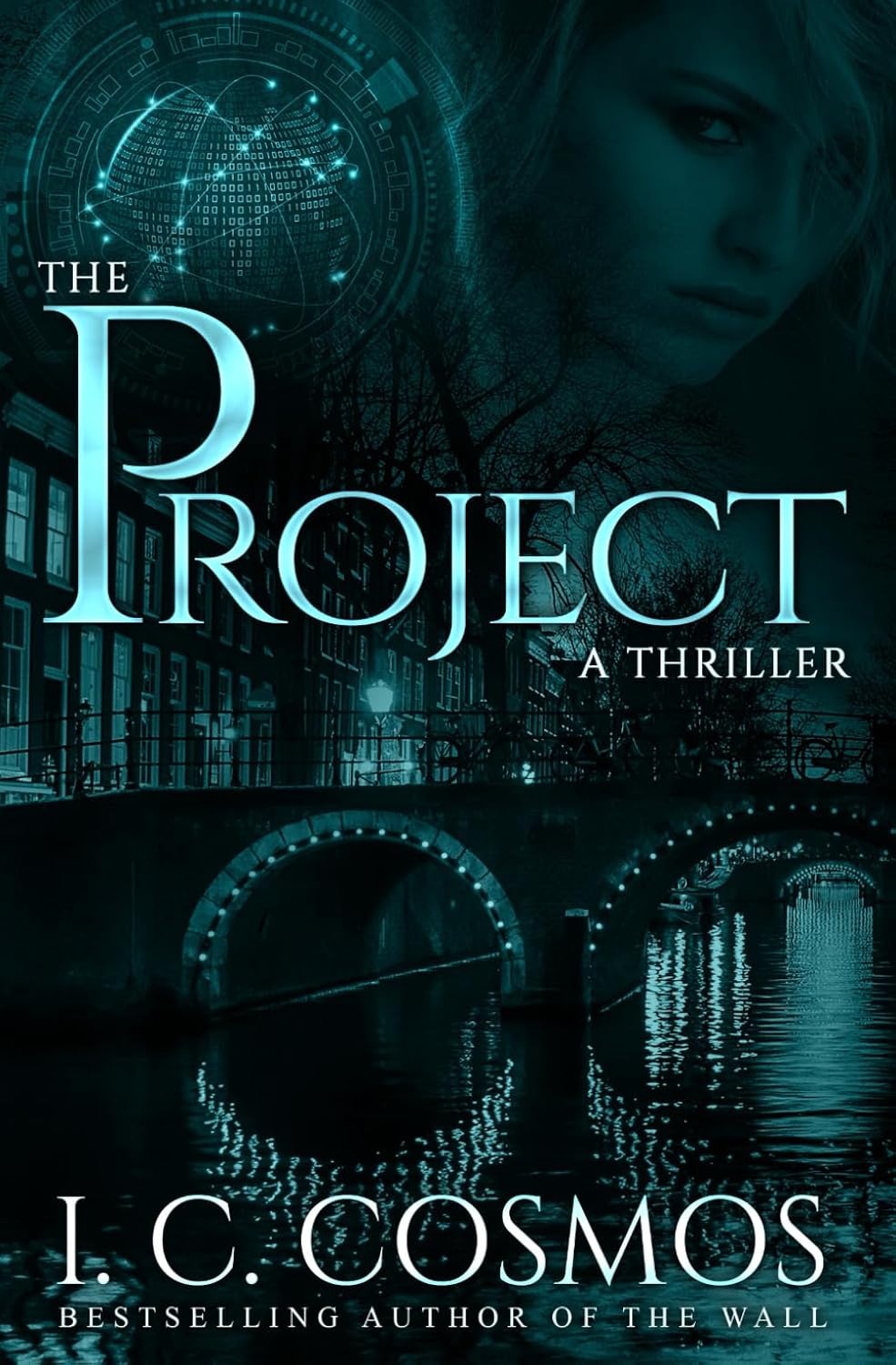 The Project (Helen Dillon Thrillers)
