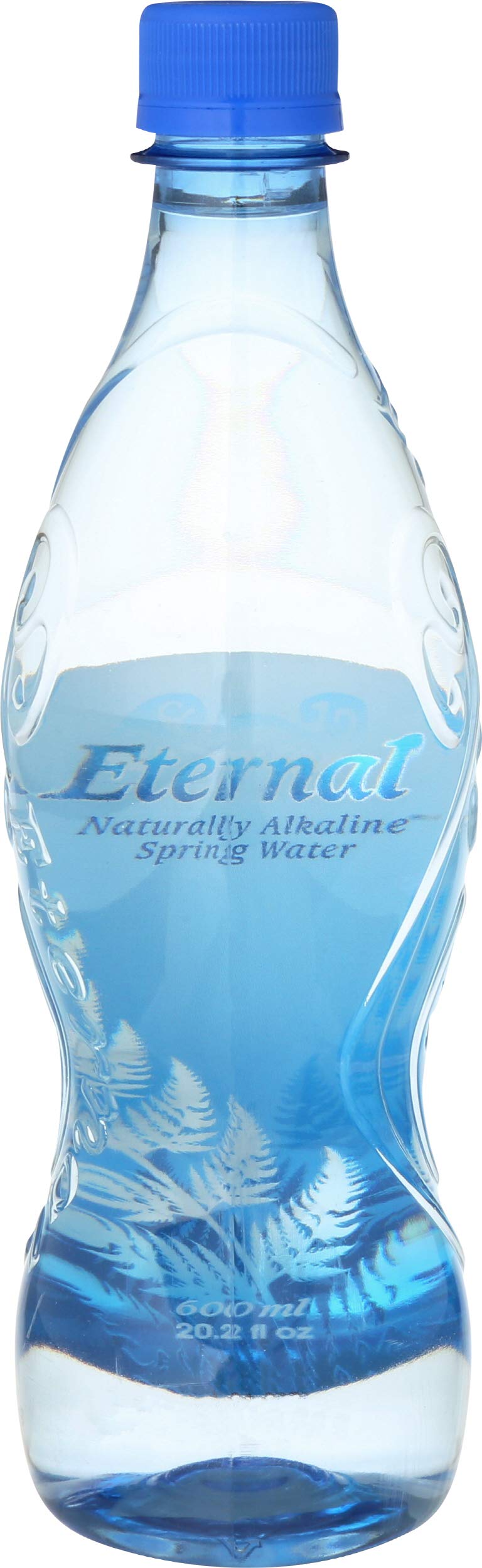 Eternal Artesian Water Artesian Water - 600 ml