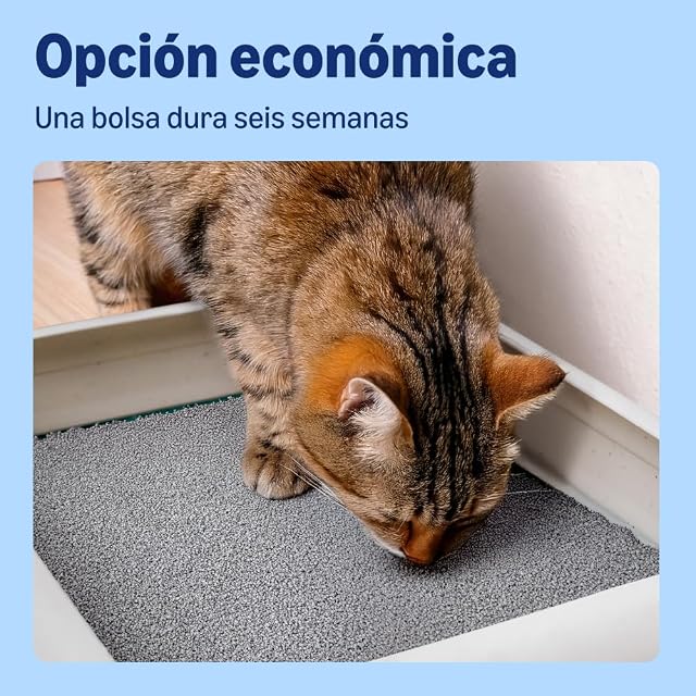 Foto 4 de 6 de by Amazon Arenero Prémium de Bentonita con Aroma a Talco para Gatos