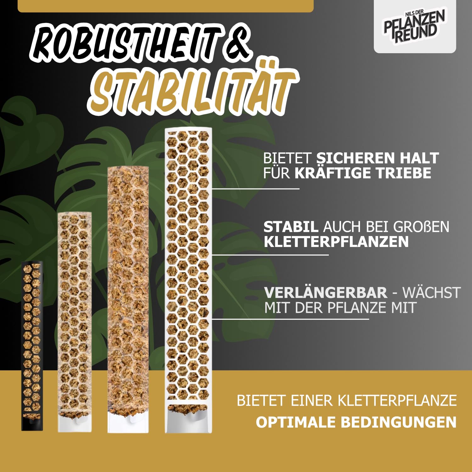 Moosstab 40 cm (L) 10 Stück, Klar – Moss Pole, erweiterbare Rankhilfe für Monstera & Kletterpflanzen, Pflanzenstab für Indoor Pflanzen