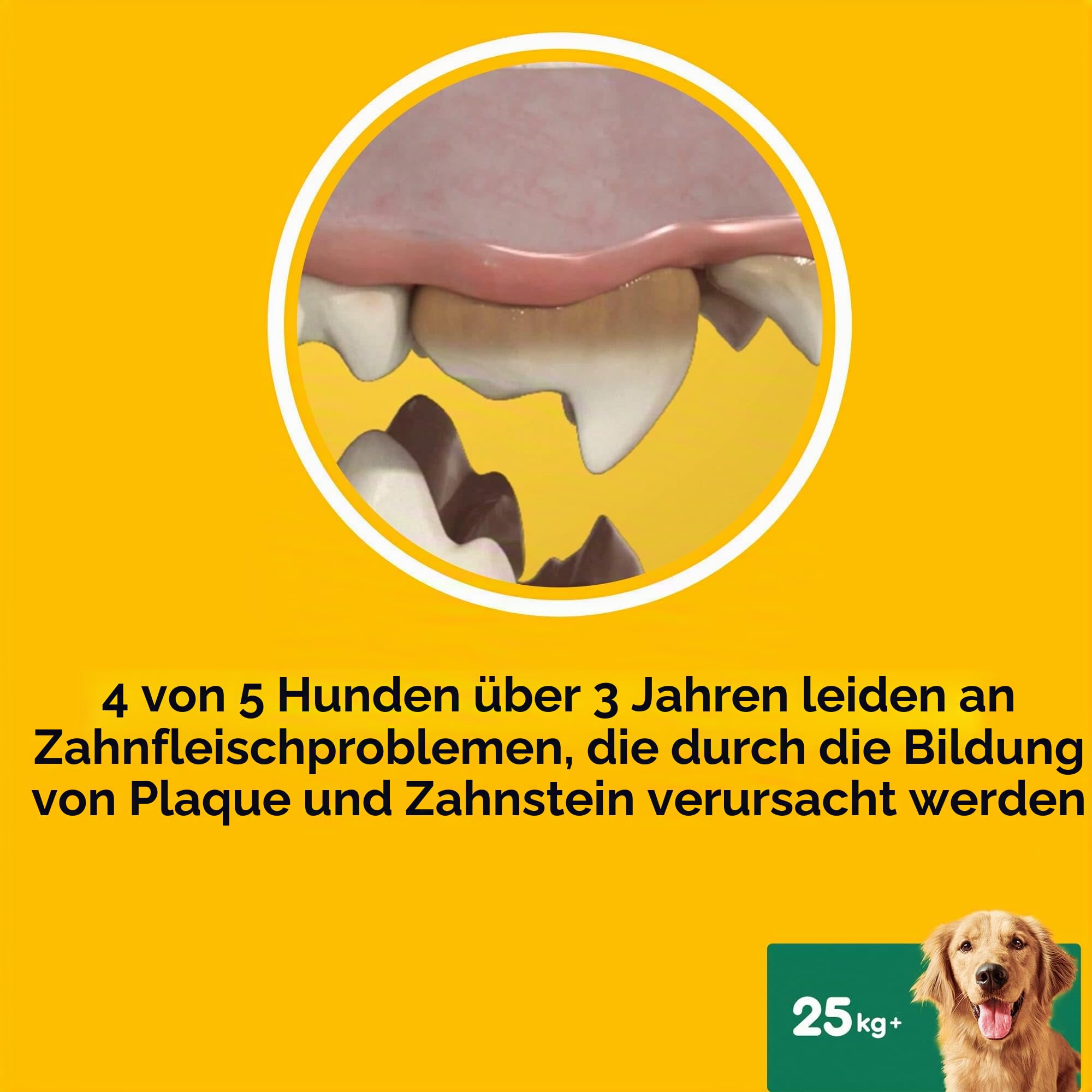 Pedigree Dentastix Fresh 84 Snack für die Mundhygiene (großer Hund > 25 kg) 810 g 21 Stück - 4 Packungen mit 21 Stück (insgesamt 84 Stück)