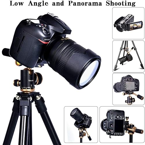 Miniatura 3 de YoTilon Trípode para cámara trípode de cámara de viaje ligero portátil para DSLR trípodes de bola SLR de 360 grados con placa de 14 para Canon Nikon