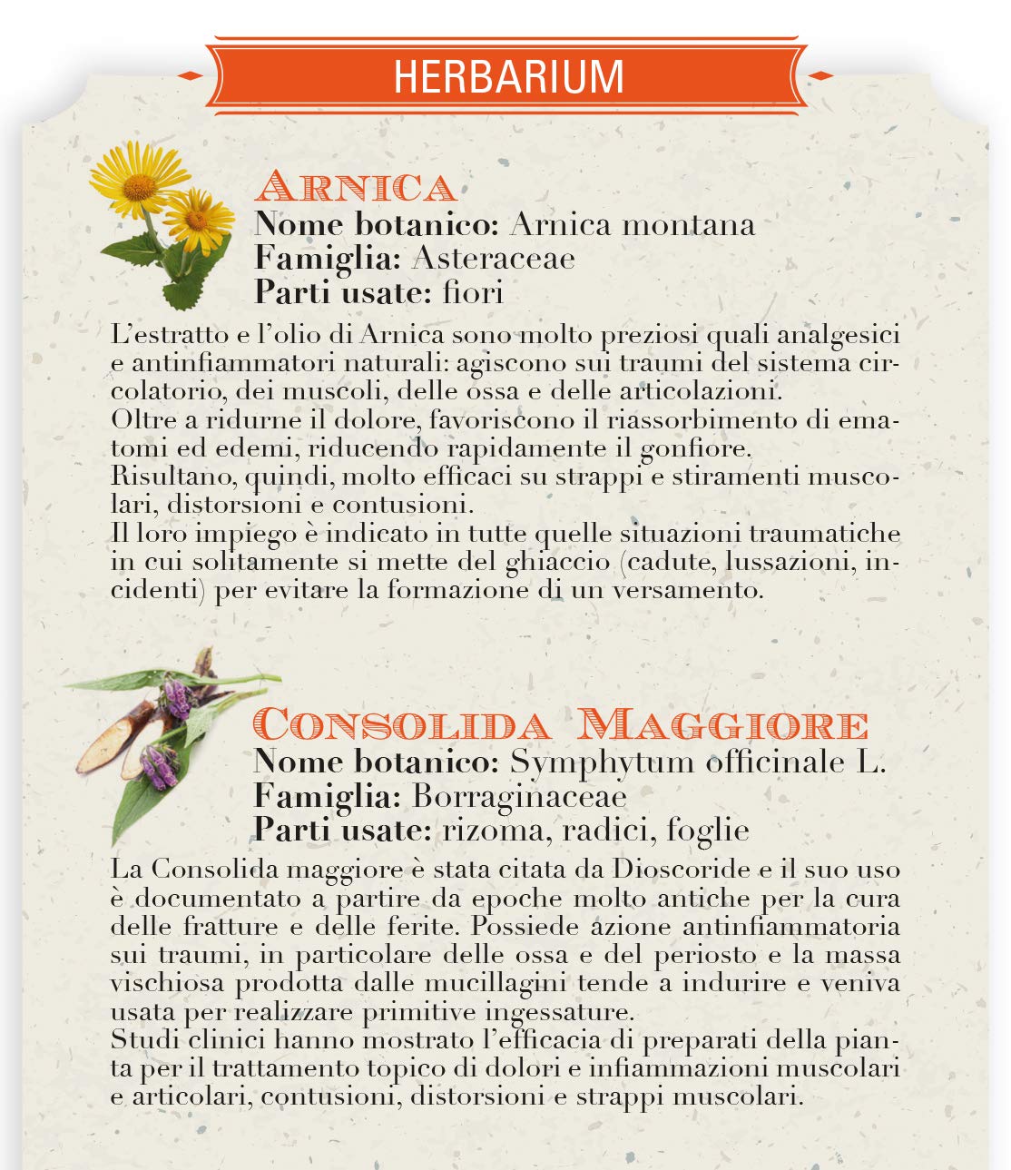 Helan, Środki, Arnica Koncentrat maści, 75 ml