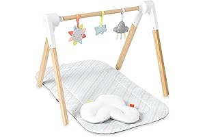 Skip Hop Silver Lining Cloud Wooden Activity Gym