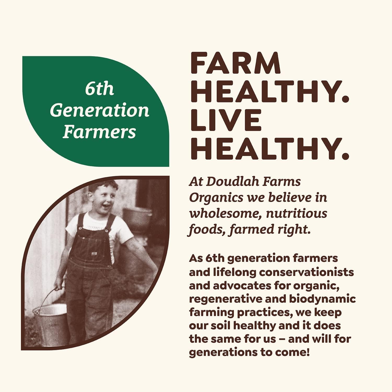 Organic Navy Beans 5 lb - Non-GMO, USDA Organic, Tested Clean Certified, Vegan - Rich in Fiber & Protein for Soups, Burritos, Salads & Chili - Grown In USA, Farmed From Regenerative Soil by Doudlah Farms