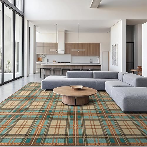 Ruaruarug Washable 8x10 Area Rug for Living Room, Bedroom, Ultra Soft Non Slip Stain & Fade Resistant, Pet & Kids Friendly, Suitable for High Traffic Areas Easy to Clean for Office Kitchen, Plaid