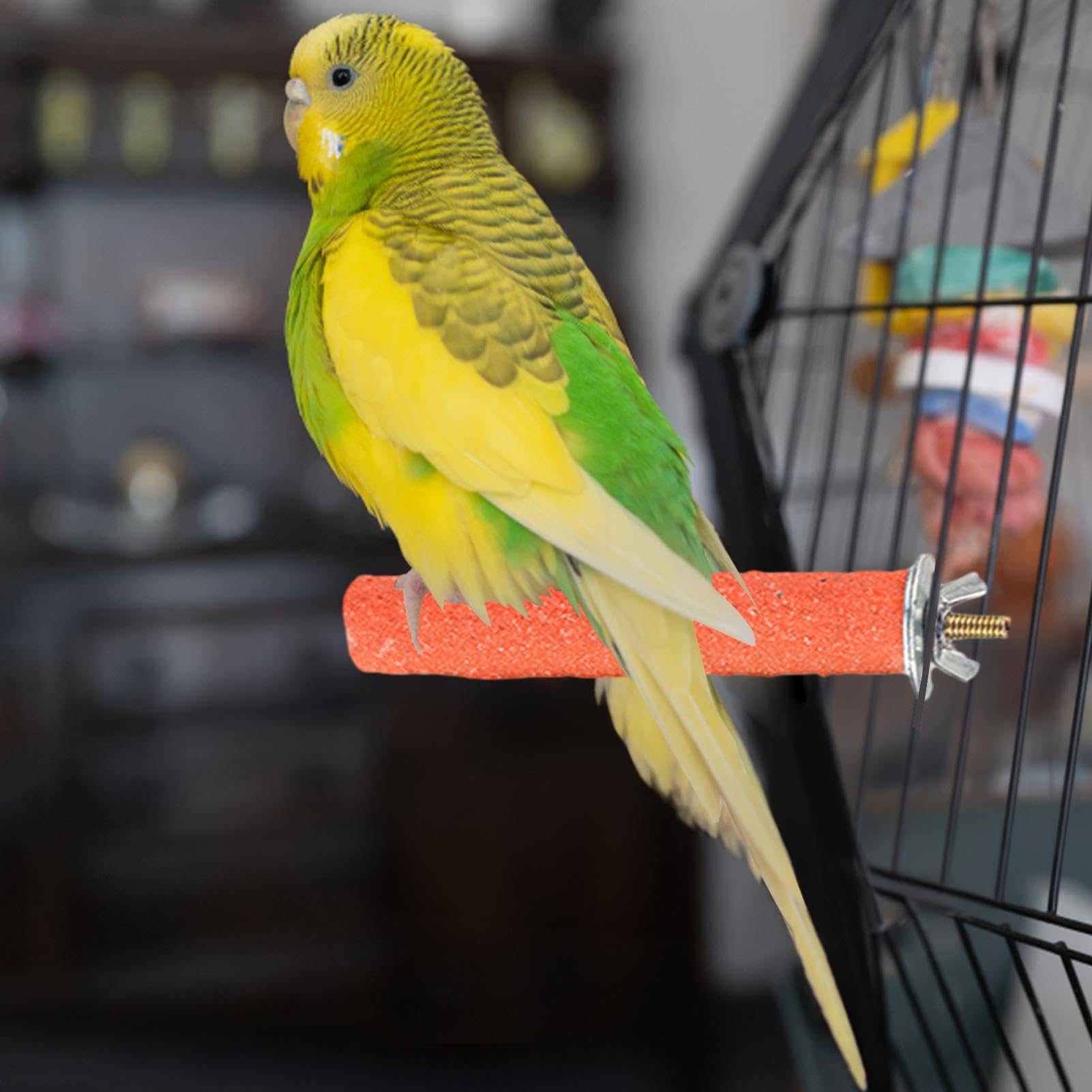 Vogelschleifwort: Schlanker Barsch zum Schleifen von Papageienkrallen, Kalzium-Ton, Vogel-Käfig-Spielzeug | Zanderkäfig-Spielzeug für Kakadus, Wellensittiche, mittelgroße