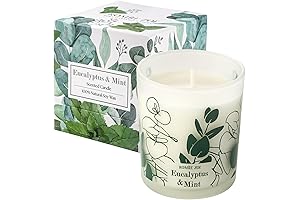 Eucalyptus & Mint Premium Scented Candle for Relaxation and Wellbeing