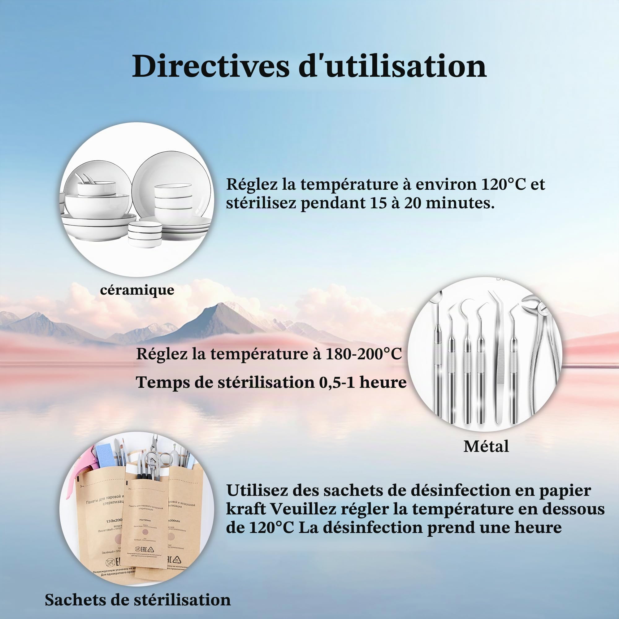 Stérilisateur à haute température, 10 L, grande capacité, température maximale 250 ℃, avec contrôle de la température et minuterie, pour salon de coiffure, spa, salon de manucure, stérilisateur