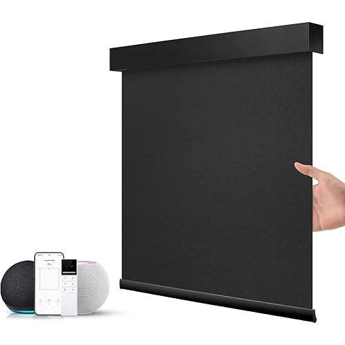 ZSTARR Motorized Smart Blind for Window with Remote Control, Automatic Blackout Roller Shade Customizable Size,with Valance Child Safety Rechargeable Battery Blinds (Full Blackout Black)