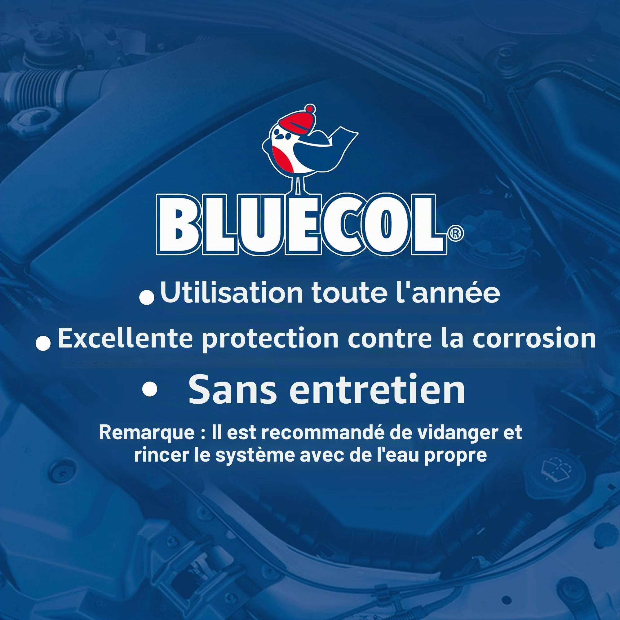 Bluecol Blue - Antigel et Liquide de Refroidissement, empêche Le Gel en Hiver, 5 litres (Lot de 1)