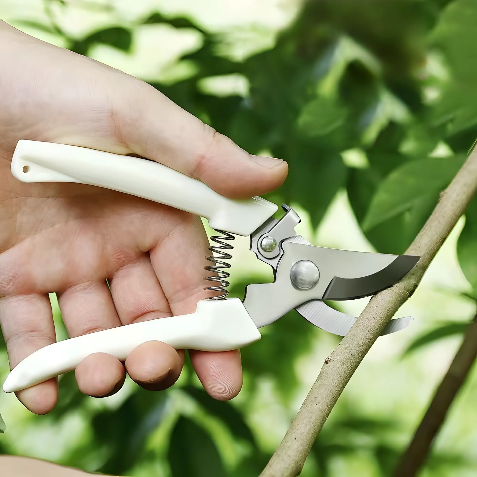 12 Stk. Gartenscheren aus Edelstahl, Pflanzenschere zum Schneiden und Beschneiden mit Sicherheitsverriegelung, robuste Schnittschere für Stiele, Zweige und Wurzeln, handlich, präzise, vielseitig