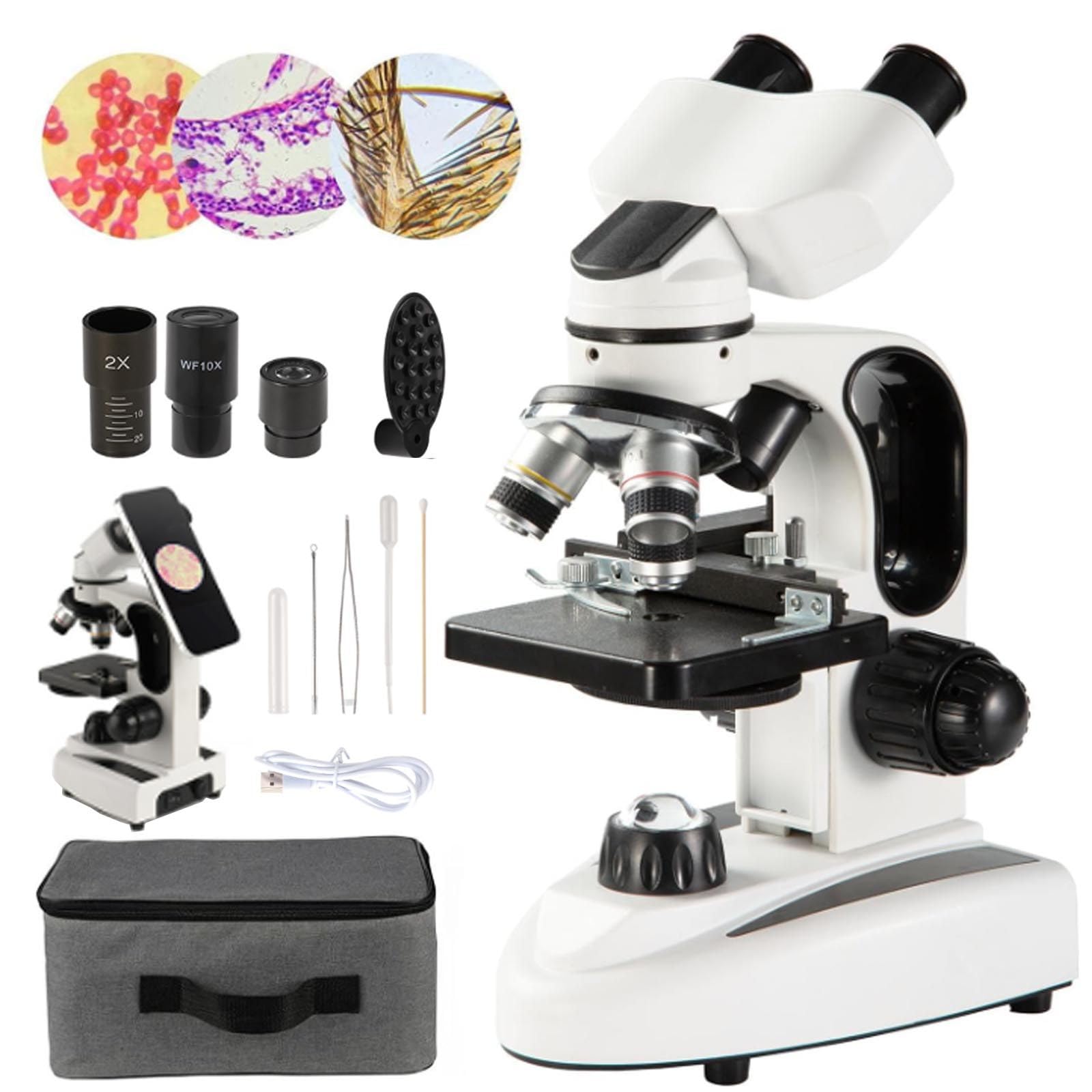 Microscopio Composto Binoculare 40x-2000x, Kit Microscopio da Laboratorio Doppio LED, Oculare WF 10x E 25x/Adattatore per Telefono/Tavola Meccanica, per Studenti, Bambini E Adulti,White