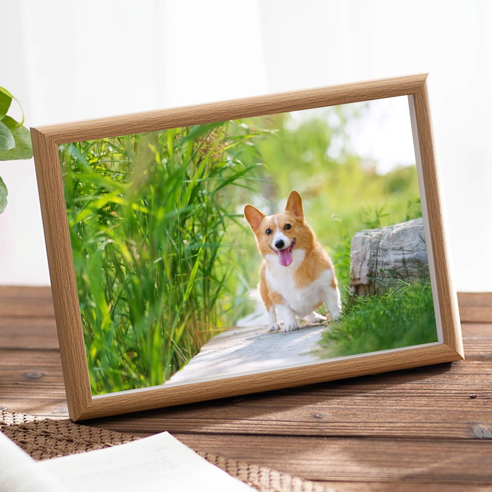 Amazon.com - 5x7 Picture Frames MDF Wood, Rectangle Photo Frame