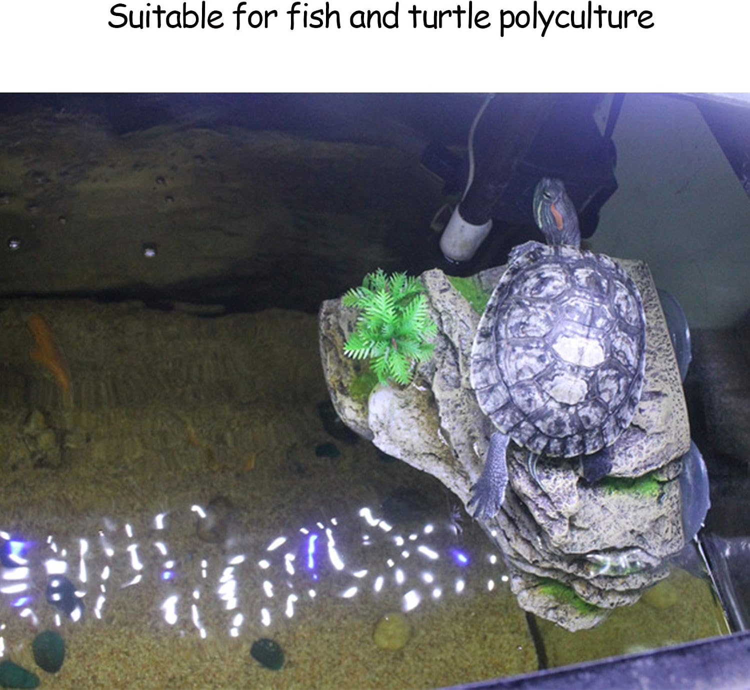 Turtle Basking Platform with Suction Cups Tortoise Climbing Step Ledge Aquarium Ornament Rock Tortoise Floating Dock Resting Basking Terrace for Turtles Frogs Newts Amphibians Reptile - Image 4