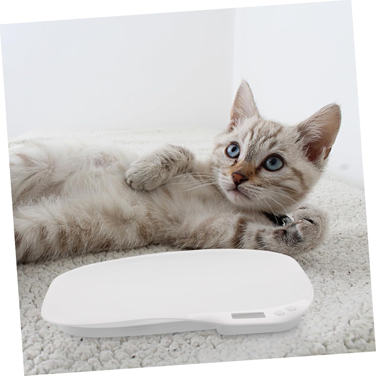 High Precision Digital Pet Scale with Bright LED Display Electronic Weighing Scale for Puppies Cats and Pets Suitable for Home Veterinary