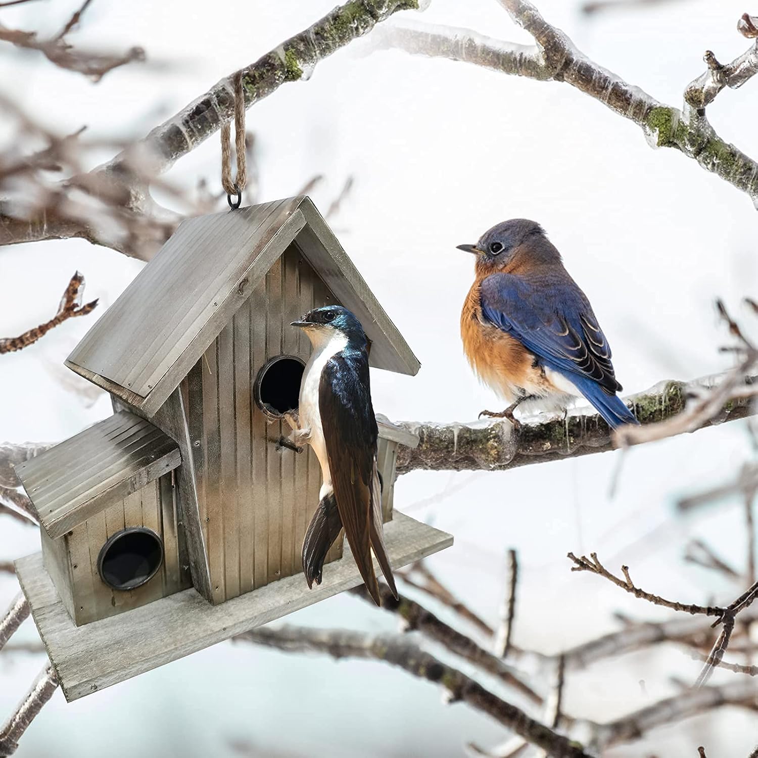 OUSHUAI Bird House for Outdoor with Pole Garden Decor Hanging Birdhouses Weatherproof BirdNest for Outside Bluebird, Finch, Wren, Chickadee, Wild Birds Big Size Wooden Iron-4 : Patio, Lawn & Garden