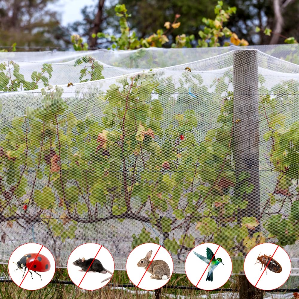 Filet Anti-insectes 3x6m - Protection Potager Contre Moustiques, Oiseaux - Maille Blanche