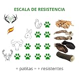 Ver la foto 5