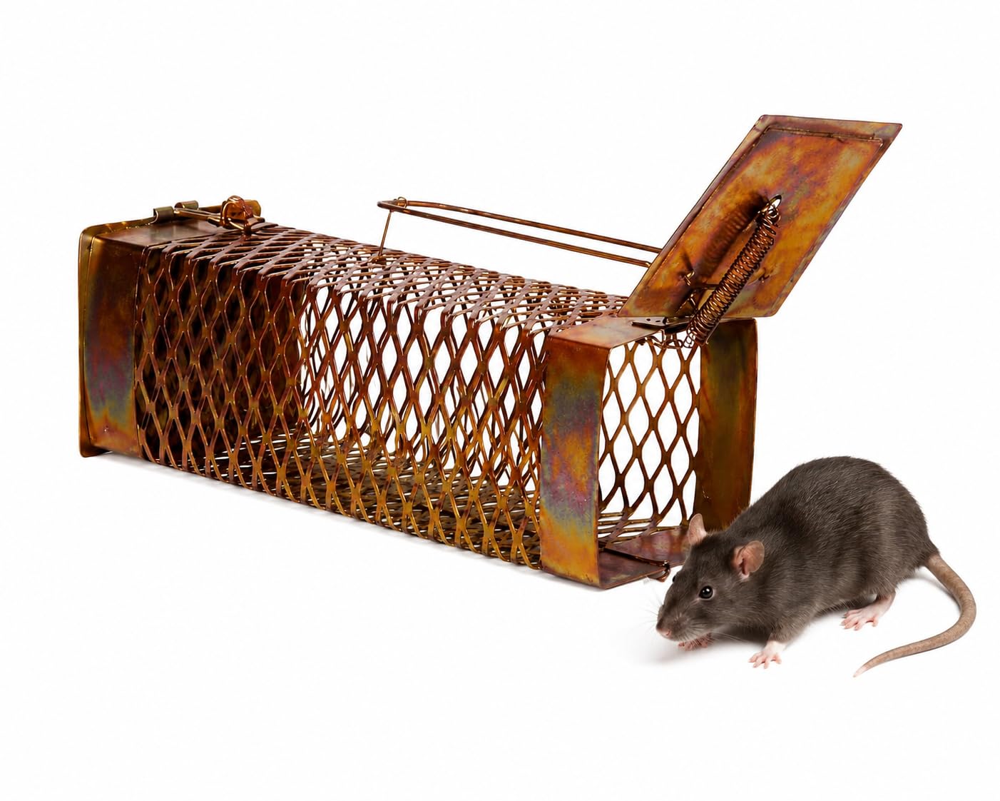 Heavy Duty Metal Rat Trap Cage | Reusable Mouse Catcher Pinjra for Rats, Mice & Rodents | Small Size Chuha Cage Trap for Home, Kitchen & Warehouse-image-38